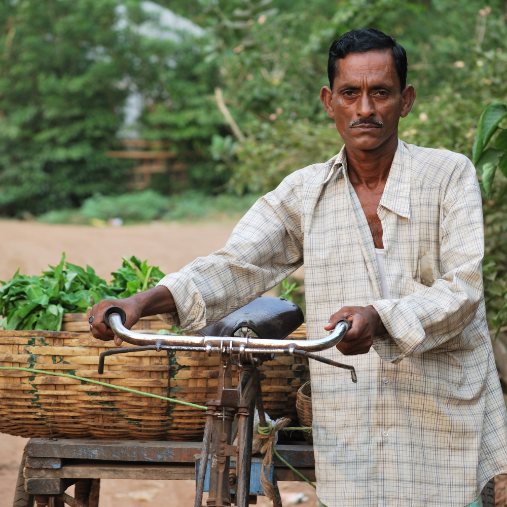 Migration from rural India isn’t just to big cities but to tourist destinations too.